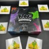 AUTHENTIC NEW KAWS ROCKS