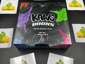 AUTHENTIC NEW KAWS ROCKS