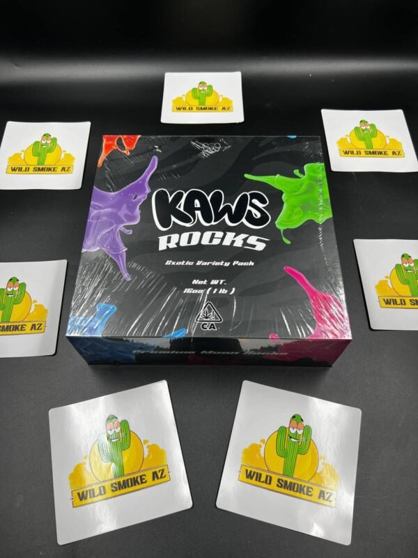 AUTHENTIC NEW KAWS ROCKS