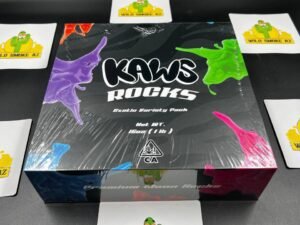 AUTHENTIC NEW KAWS ROCKS