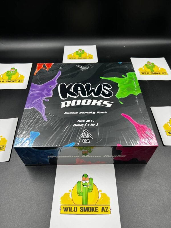 AUTHENTIC NEW KAWS ROCKS