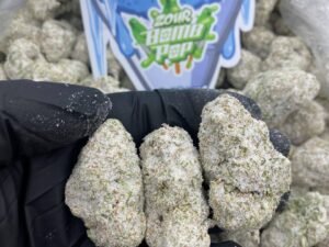 ZOUR POP SNOW CONES